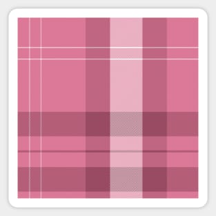 berry pink plaid Sticker